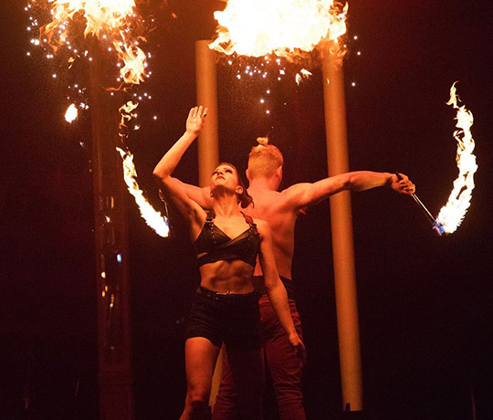 Adelaide Fringe Festival 2020: Uncaged Creativity | The Switch